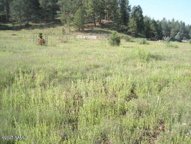 Upper Lake Mary Lot For Sale in Flagstaff Arizona