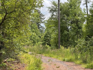 Welcome to Emerald Cove, one of Lake Greenwood's newest - photo 18