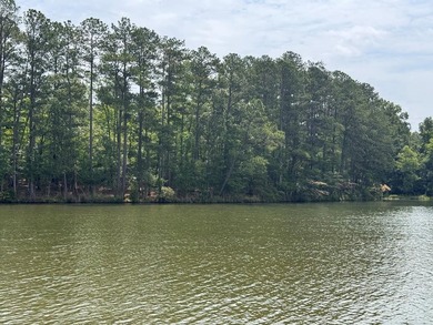 Welcome to Emerald Cove, one of Lake Greenwood's newest - photo 29