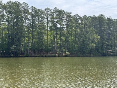 Welcome to Emerald Cove, one of Lake Greenwood's newest - photo 30