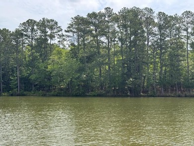 Welcome to Emerald Cove, one of Lake Greenwood's newest - photo 31