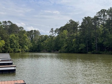 Welcome to Emerald Cove, one of Lake Greenwood's newest - photo 32