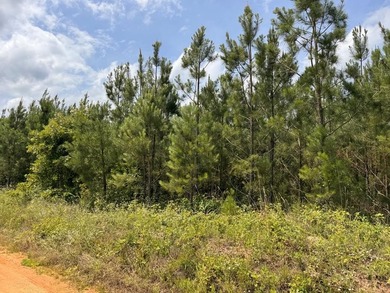 Welcome to Emerald Cove, one of Lake Greenwood's newest - photo 36