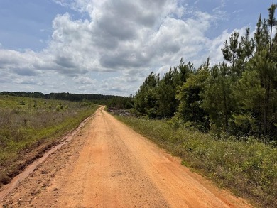 Welcome to Emerald Cove, one of Lake Greenwood's newest - photo 38