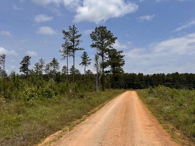 Welcome to Emerald Cove, one of Lake Greenwood's newest - photo 42