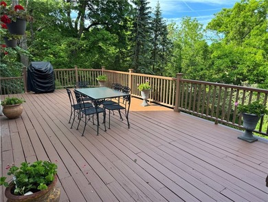 Finally, a house in Cayuga Heights with everything you looking - photo 49