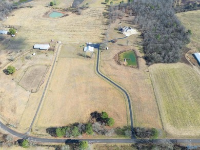Discover this beautifully remodeled 5,080 sq. ft. home featuring - photo 49