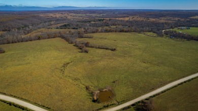 (private lake, pond, creek) Acreage For Sale in Seymour, Missouri