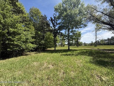 Prime Waterfront Commercial Development Opportunity Highway 57 - photo 12