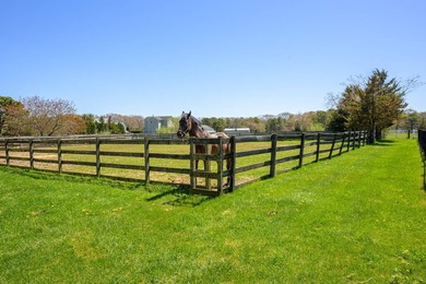 In the Hamptons, the real value isn't just what you build-it's - photo 12