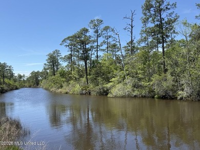 Prime Waterfront Commercial Development Opportunity Highway 57 - photo 13