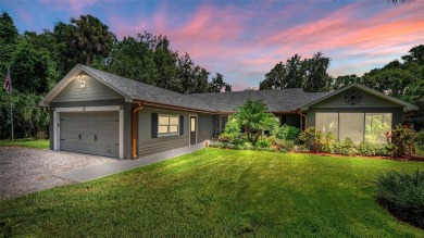 Lake Home For Sale in Umatilla, Florida