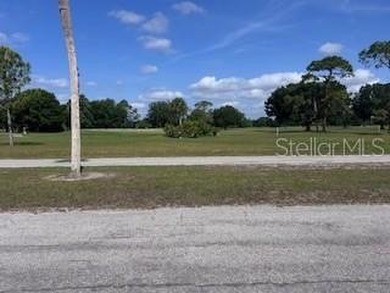 Each parcel in Indian Lake Estates has unique characteristics - photo 2