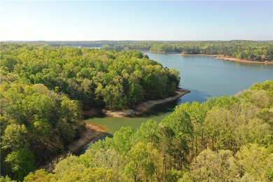 Some of the best spots on Lake Hartwell don't come with a dock - - photo 2