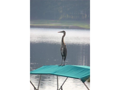 LIVE LIKE YOU ARE ON VACATION on Lake Windward with private dock - photo 38