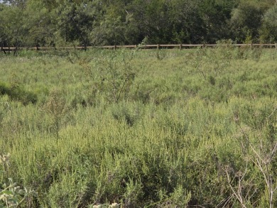 1+ Acre lot in beautiful Richland Park - photo 25
