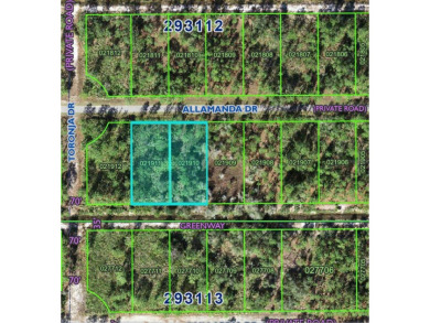 Lake Weohyakapka Lot For Sale in Indian Lake Estates Florida