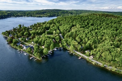 Tuscarora Lake, home of the world famous Blue Canoe restaurant! - photo 6