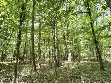+/- 95 acre timberland and hunting property in northwest Scott - photo 11