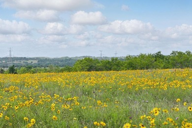 Incredible opportunity to own 292 acres of prime real estate in - photo 11