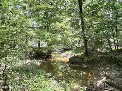 +/- 95 acre timberland and hunting property in northwest Scott - photo 12