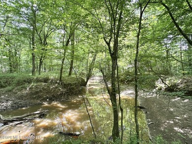 +/- 95 acre timberland and hunting property in northwest Scott - photo 13