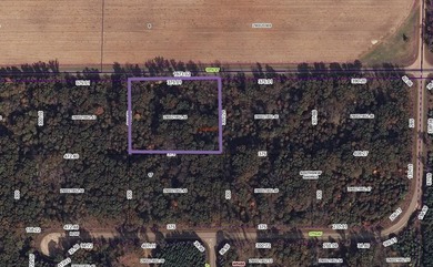 Located in desirable Southview Shores neighborhood, this - photo 13
