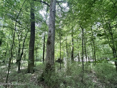 +/- 95 acre timberland and hunting property in northwest Scott - photo 15