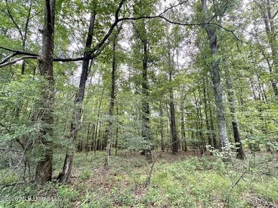 +/- 95 acre timberland and hunting property in northwest Scott - photo 17