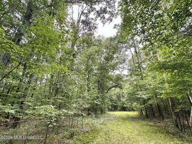 +/- 95 acre timberland and hunting property in northwest Scott - photo 18