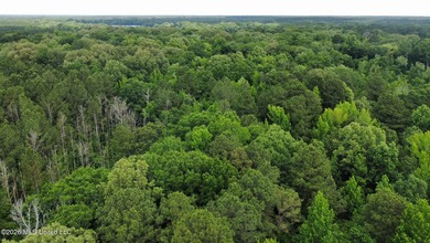 +/- 95 acre timberland and hunting property in northwest Scott - photo 19