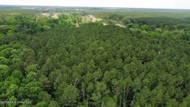 +/- 95 acre timberland and hunting property in northwest Scott - photo 20