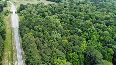 +/- 95 acre timberland and hunting property in northwest Scott - photo 21