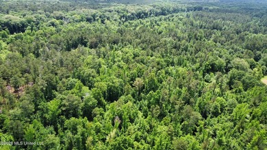 +/- 95 acre timberland and hunting property in northwest Scott - photo 22