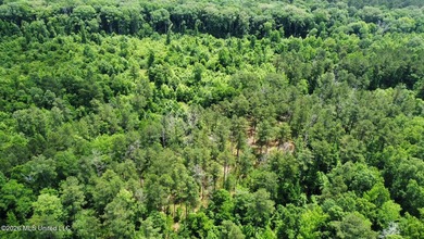 +/- 95 acre timberland and hunting property in northwest Scott - photo 23