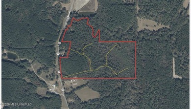 +/- 95 acre timberland and hunting property in northwest Scott - photo 24