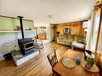 Tuscarora Lake, home of the world famous Blue Canoe restaurant! - photo 9