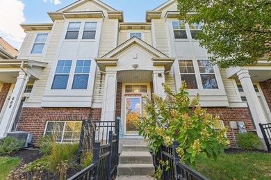 (private lake, pond, creek) Townhome/Townhouse For Sale in Aurora Illinois