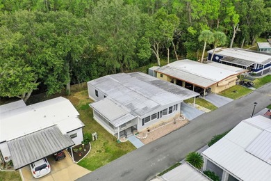 Enjoy relaxed Florida living in the 55+ community of Eustis - photo 33