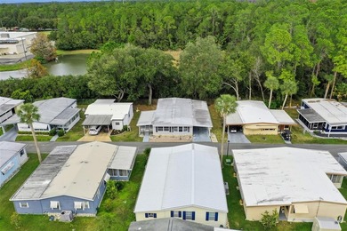 Enjoy relaxed Florida living in the 55+ community of Eustis - photo 34