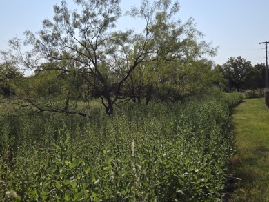 1+ Acre lot in beautiful Richland Park - photo 4