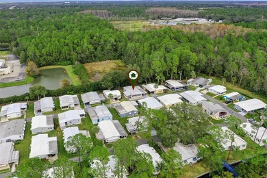 Enjoy relaxed Florida living in the 55+ community of Eustis - photo 41