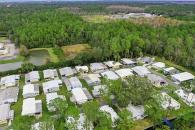 Enjoy relaxed Florida living in the 55+ community of Eustis - photo 42
