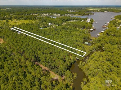 Here is your chance to have a waterfront lot with No HOA. This - photo 6