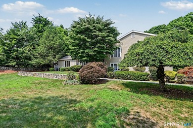 Tucked away on a quiet, tree-lined street in North Stamford - photo 27