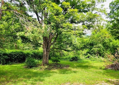Your Own Piece of the Creek Charming Cape with Waterfront Living - photo 6