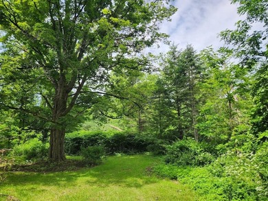 Your Own Piece of the Creek Charming Cape with Waterfront Living - photo 8