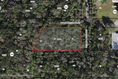 Homosassa River Lot For Sale in Homosassa Florida