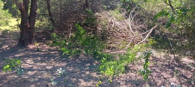 Lake Navarro Mills Lot For Sale in Purdon Texas