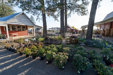 Own a community landmark farm with views in every direction and - photo 7